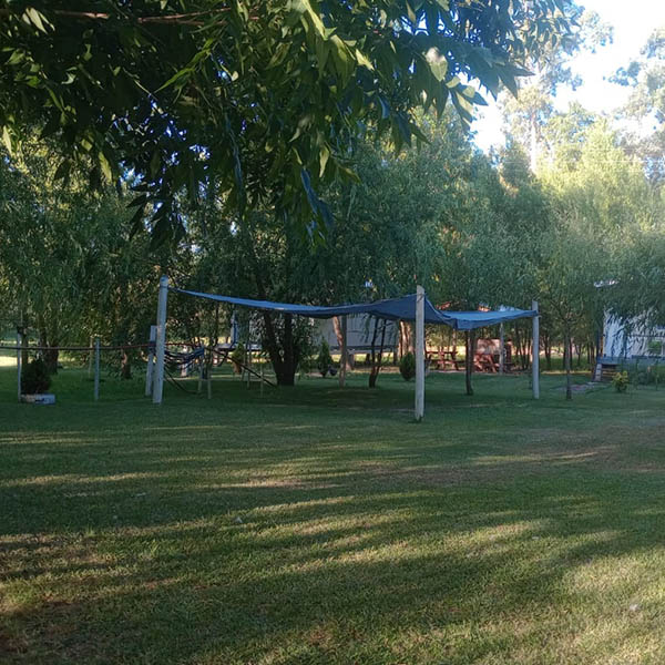 La Dorotea 4